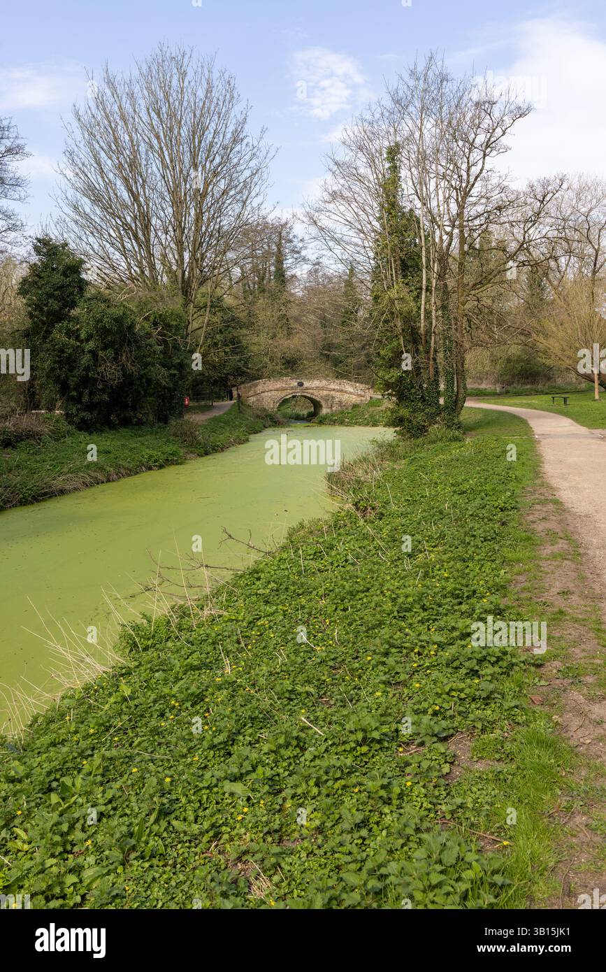 Disused Wilts & Berks Canal and Chaveywell Bridge in Castlefields Park ...