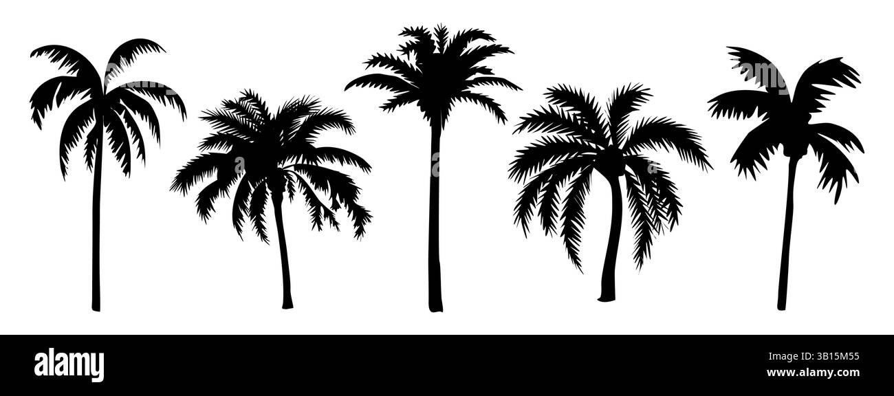 Set of different palm tree black silhouettes Stock Vector Image & Art ...