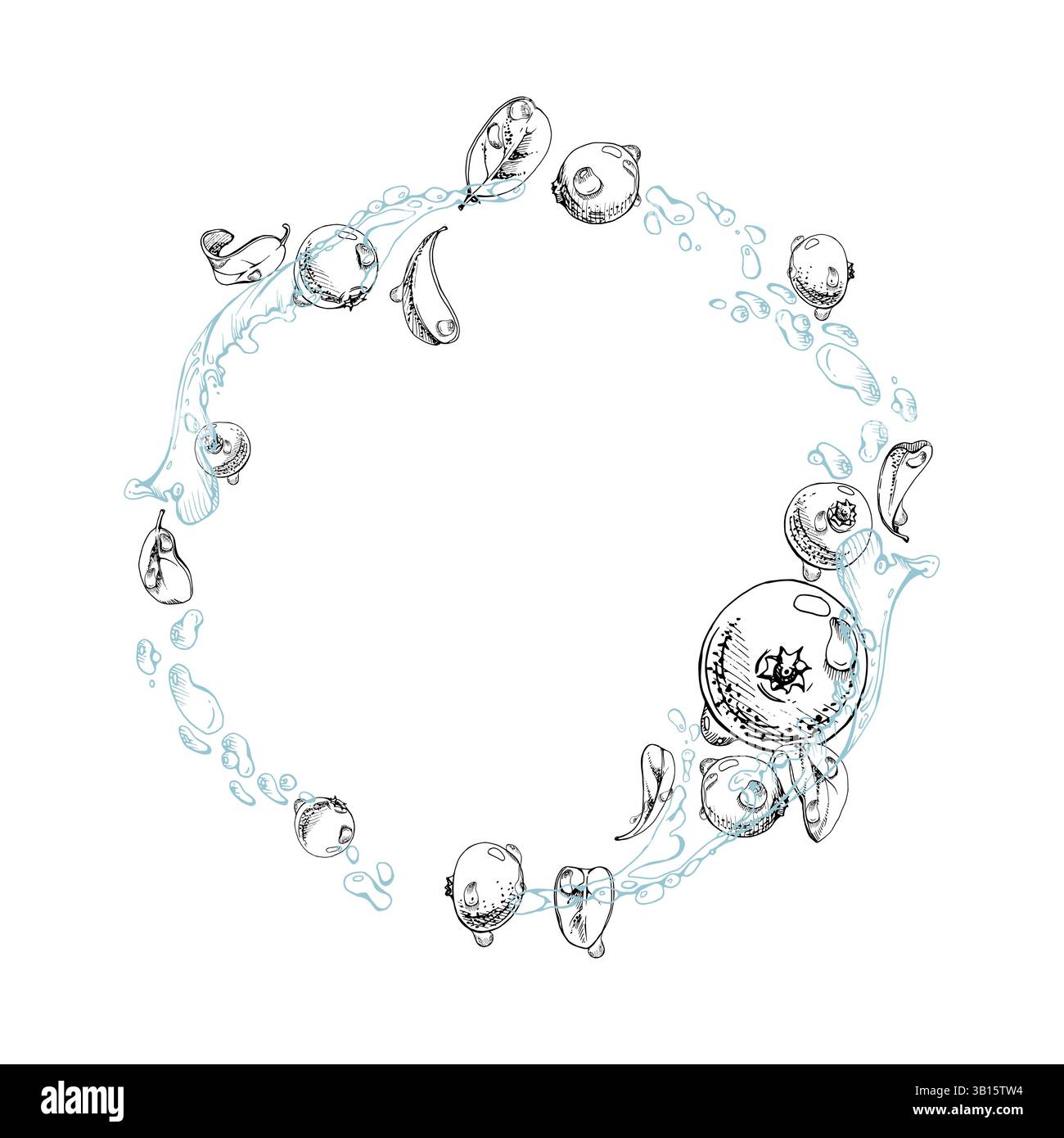 Lingonberry cranberry flying in water splash with green leaves and ...