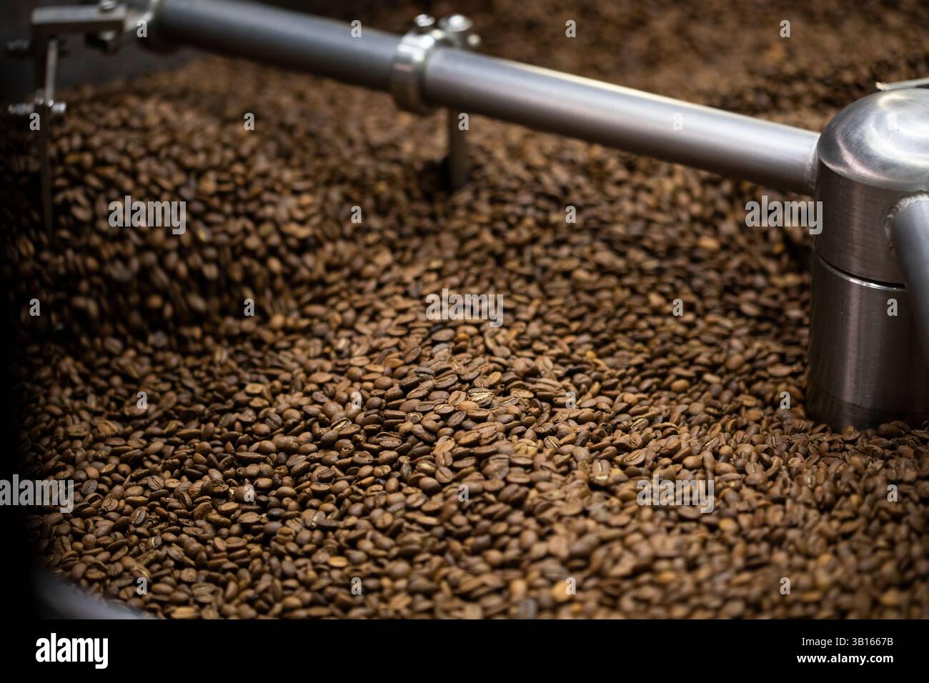 Coffee beans cooling off after being roasted Stock Photo
