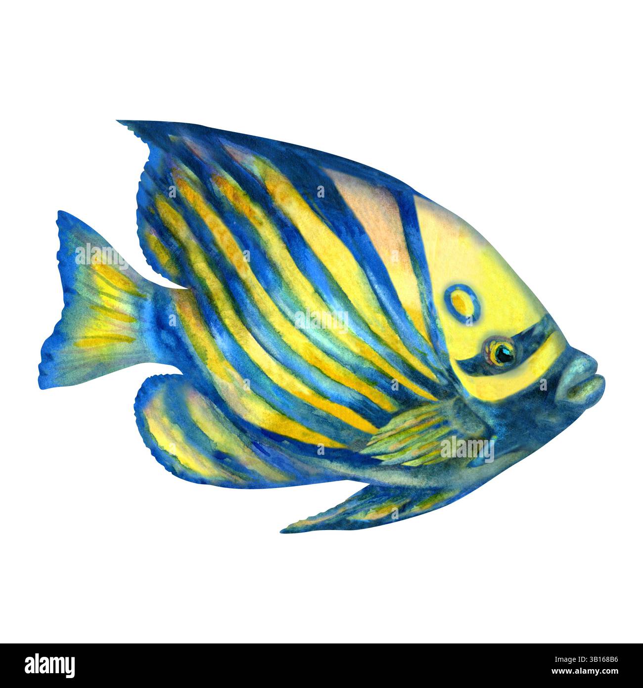 Angel fish painting hi-res stock photography and images - Alamy