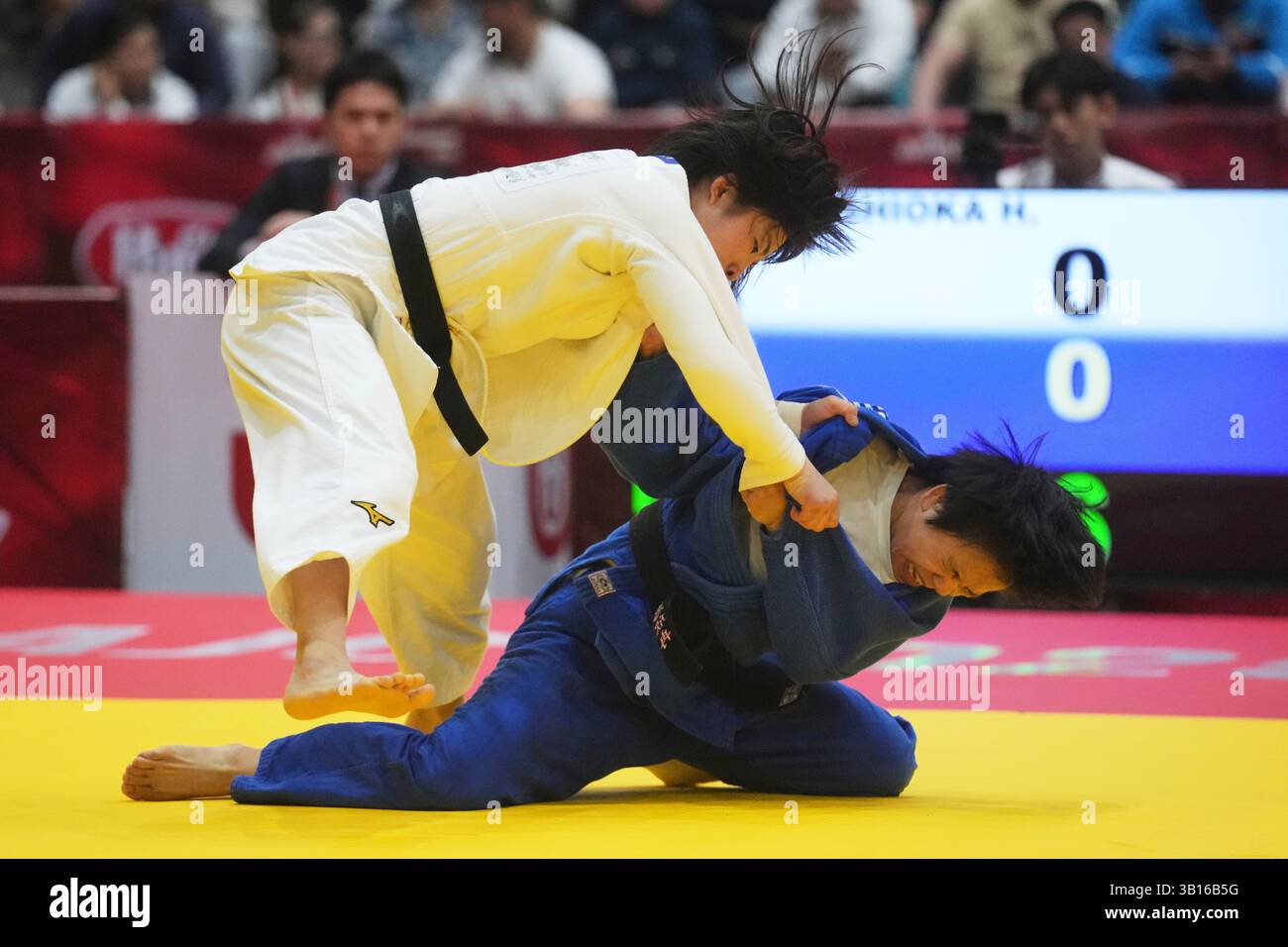 Ordos Asian Judo Athlete Wellness: Nutrition and Recovery
