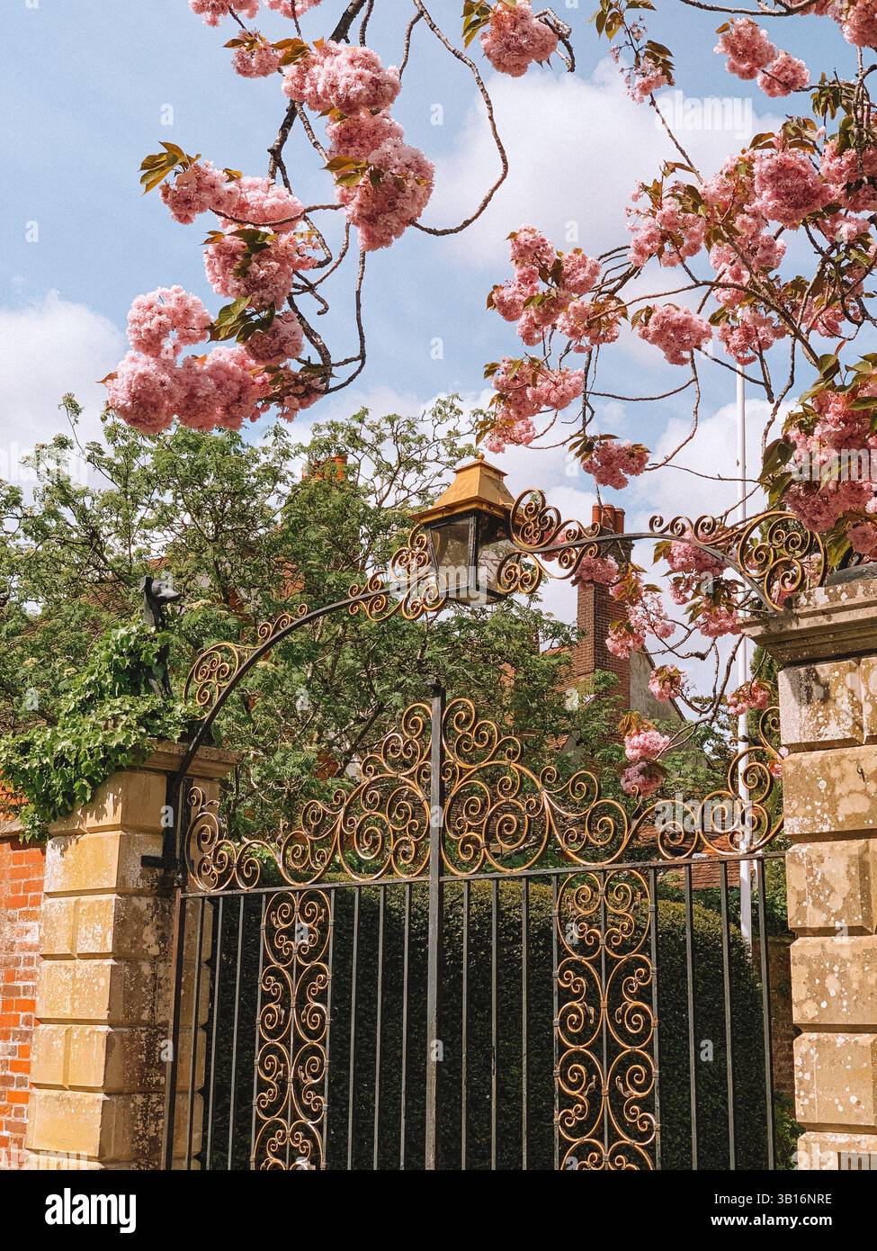Historic Town of Salisbury, England – Scenic Cityscape with Medieval Architecture and Cathedral Views - Smartphone Captured Stock Image