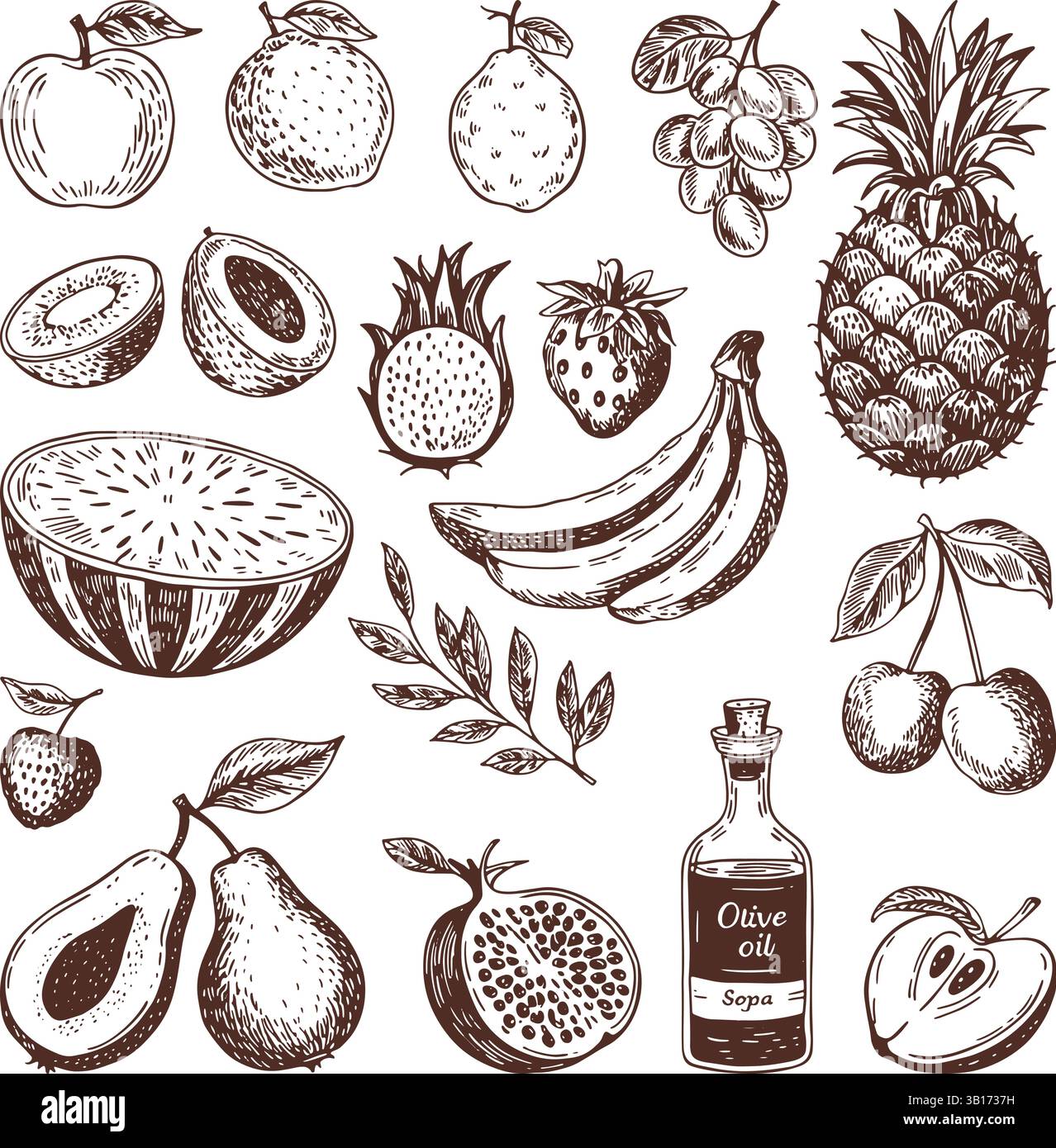 Minimalist hand drawn Fruit collection vector illustration Stock Vector