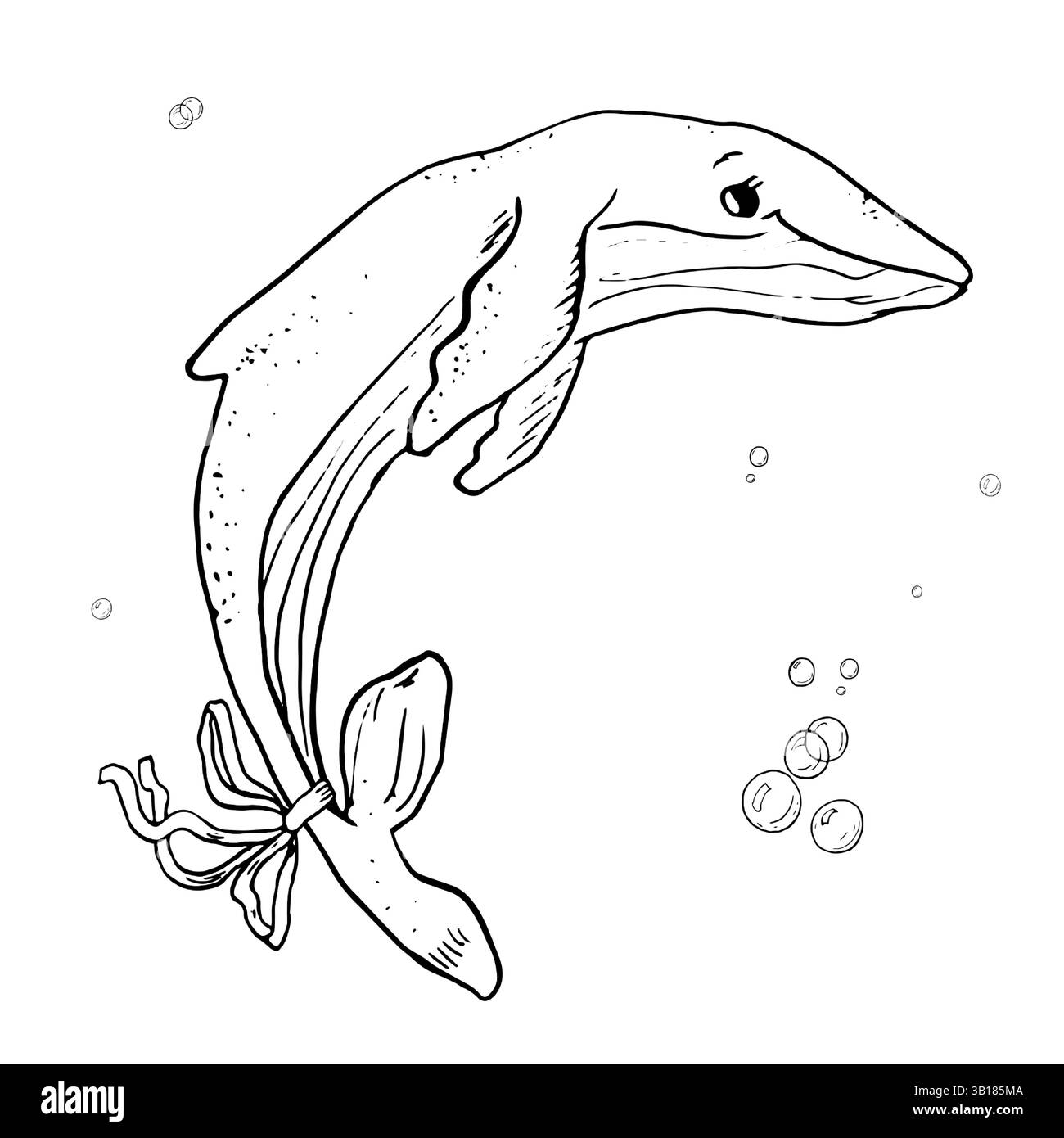 Whale and air bubbles, sketch in black and white ink. Vector illustration.Marine mammal from the ocean, with bow on its tail, isolated on white backgr Stock Vector