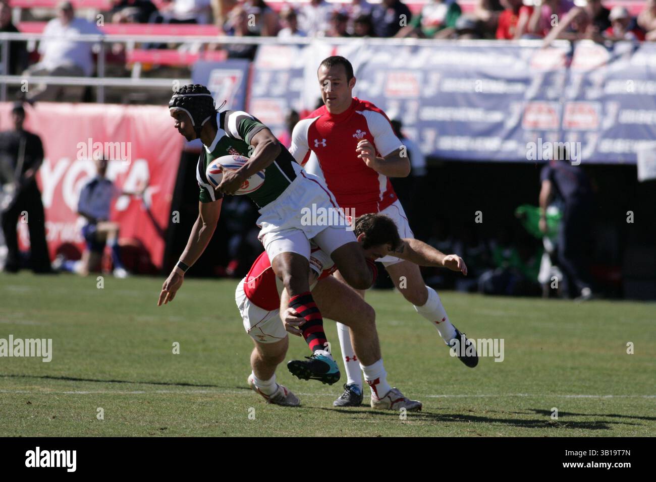Rhys shellard of wales hi-res stock photography and images - Alamy