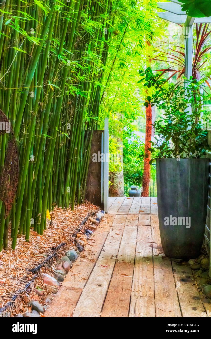 Bamboo plant house hi-res stock photography and images - Alamy