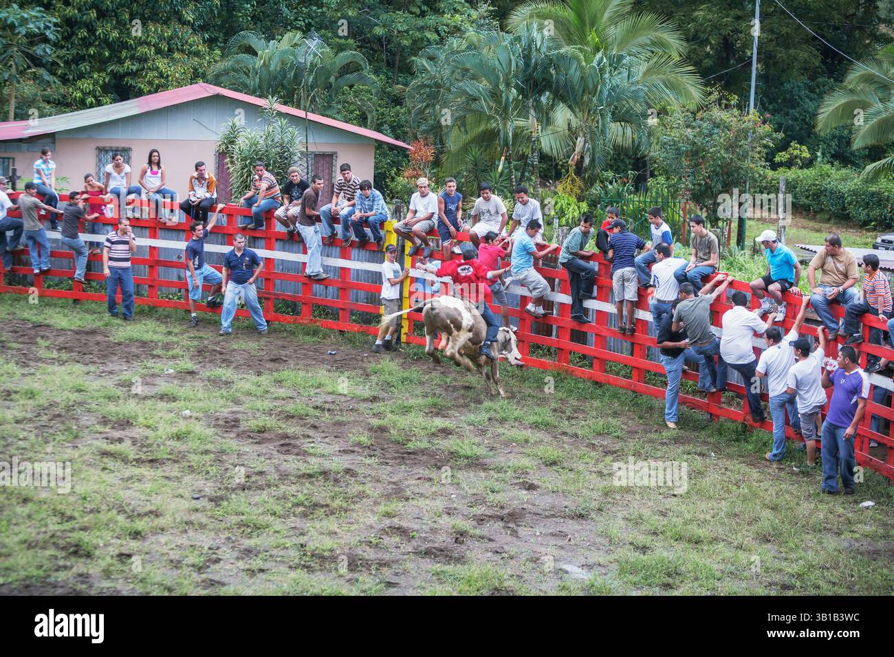 Fortuna Rodeo Rodeo, La Fortuna, Arenal, Costa Rica, Central America Stock Photo - Alamy