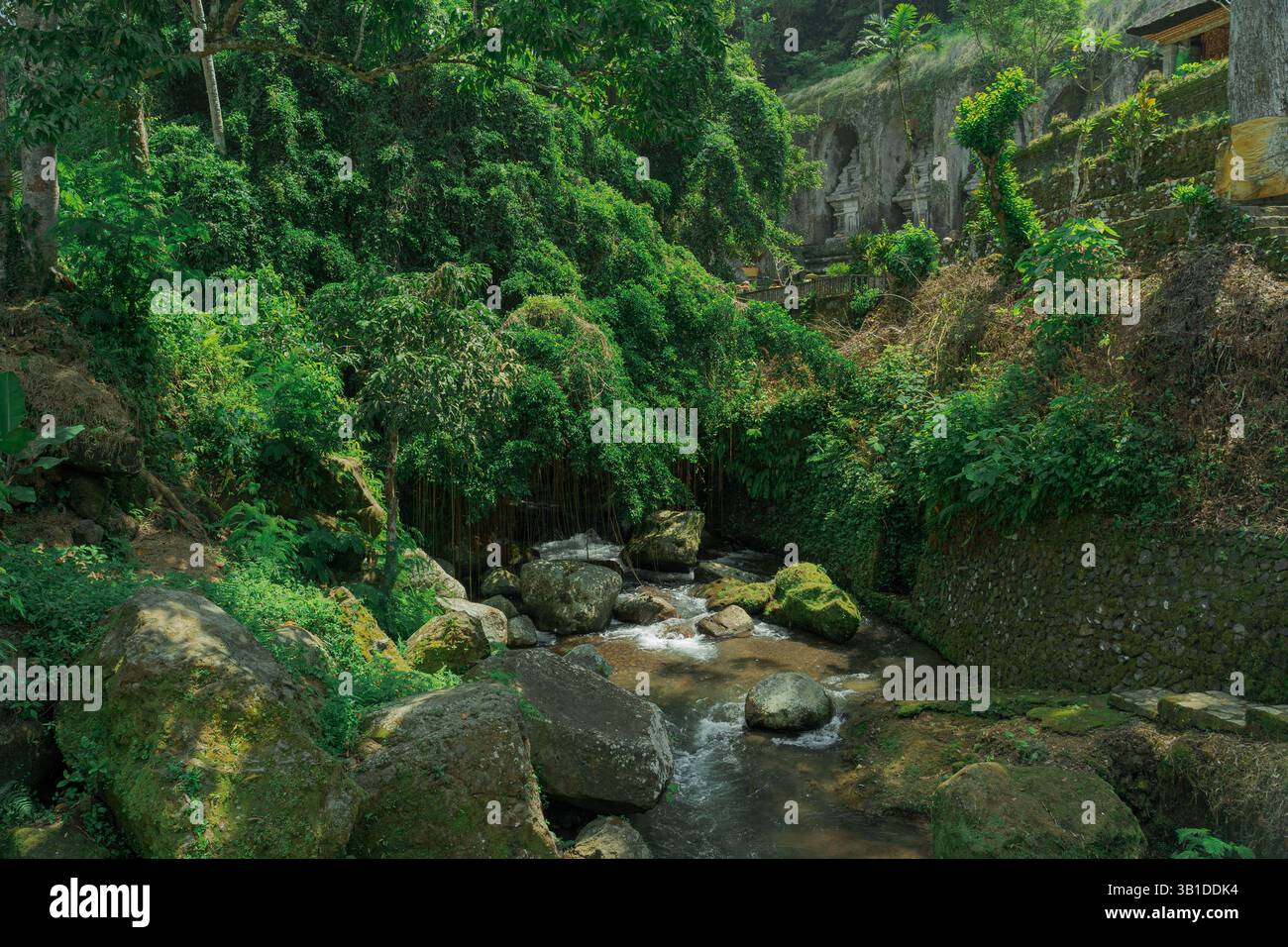 Beautiful view of the river stream flowing through big rocks ...