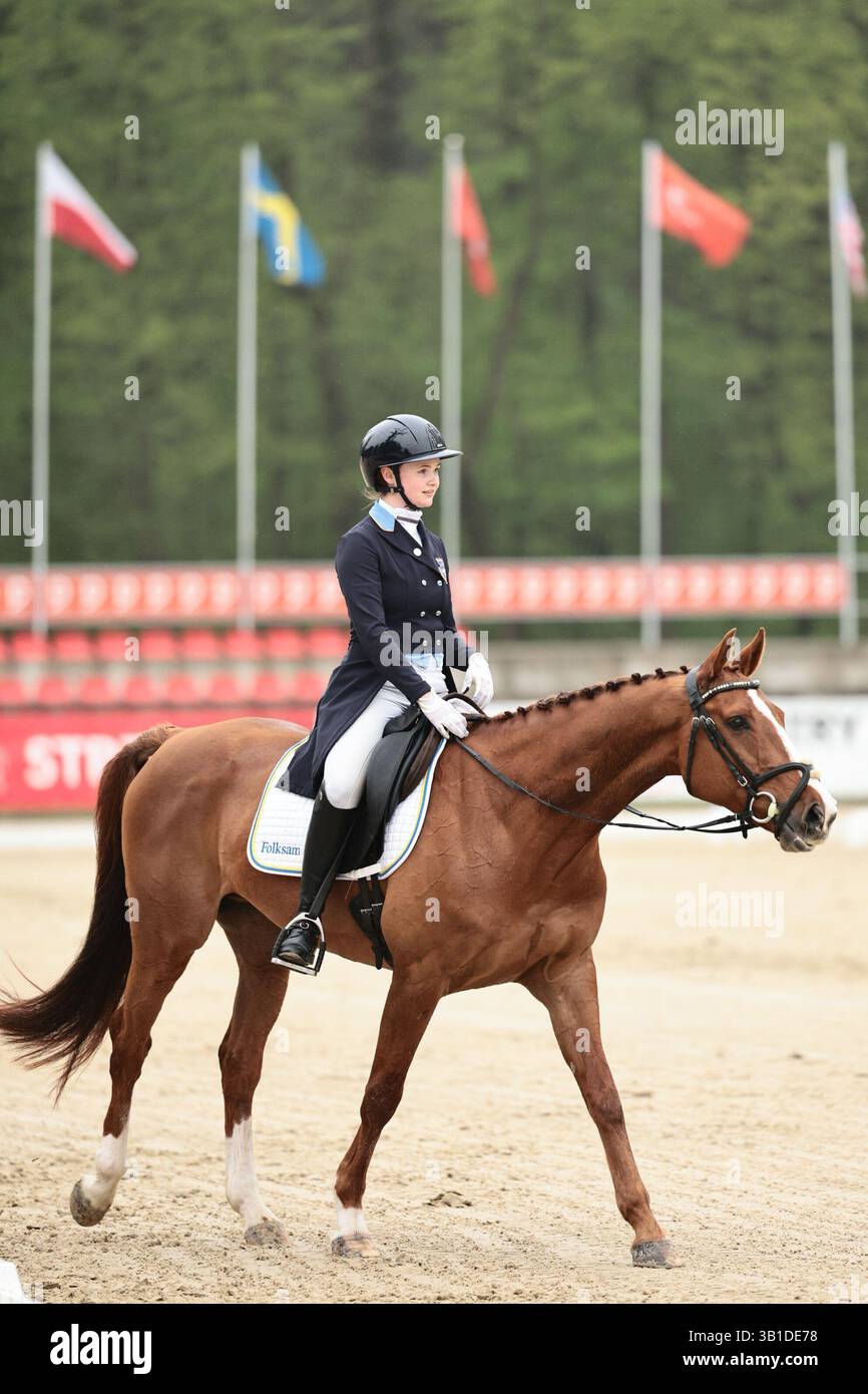 April Cesar Wilma Bertilsson of Sweden with Cesar during the CCI3*-L dressage at ...