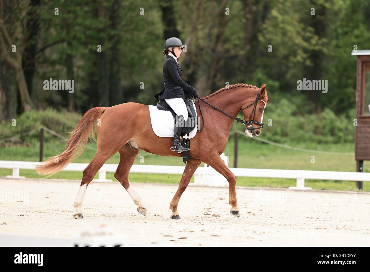 Gratitude and Faith: A Glimpse into Parenthood | TikTok, image size:1300x956