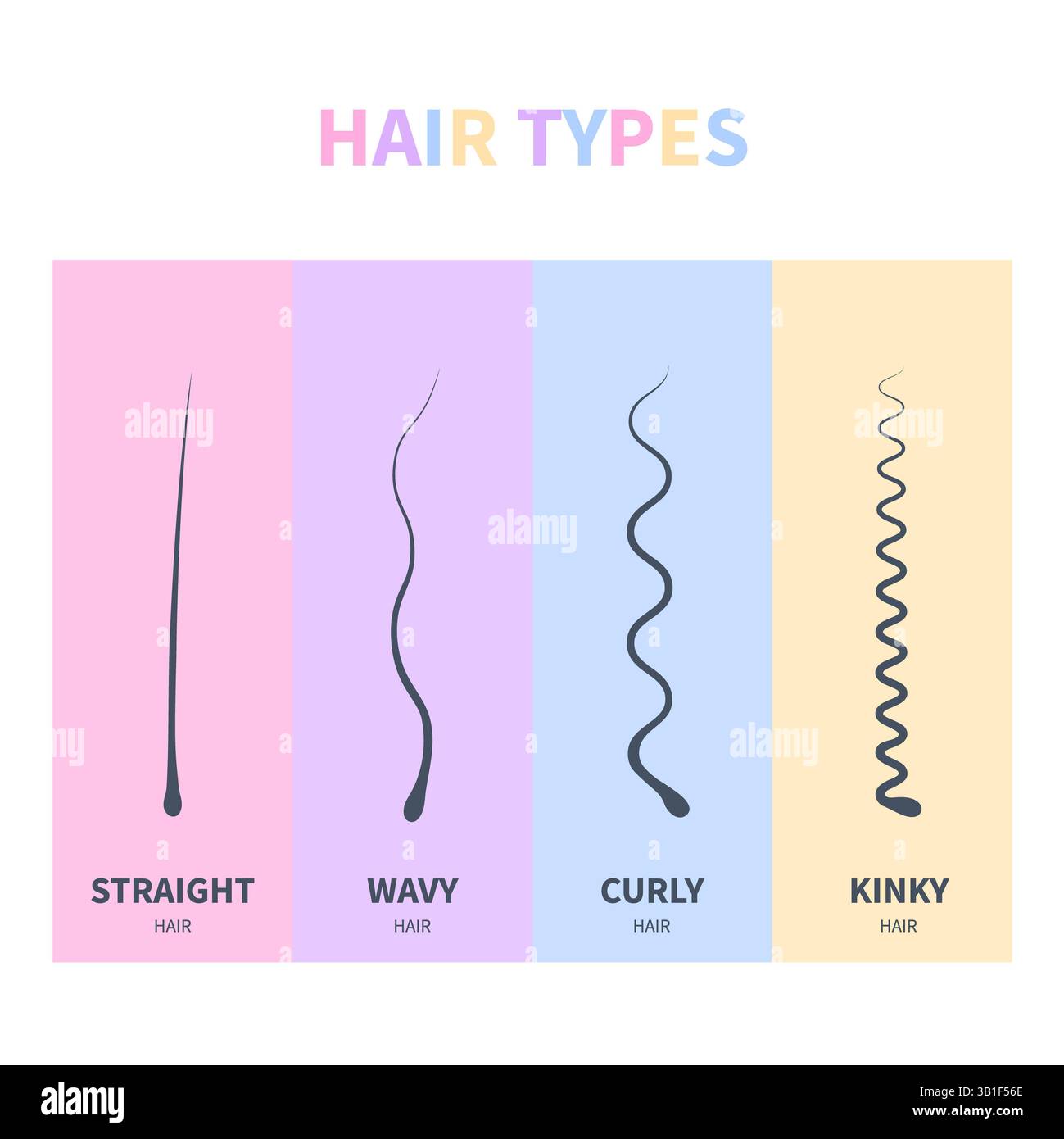 Hair types of straight, wavy, curly and kinky strands, illustration ...
