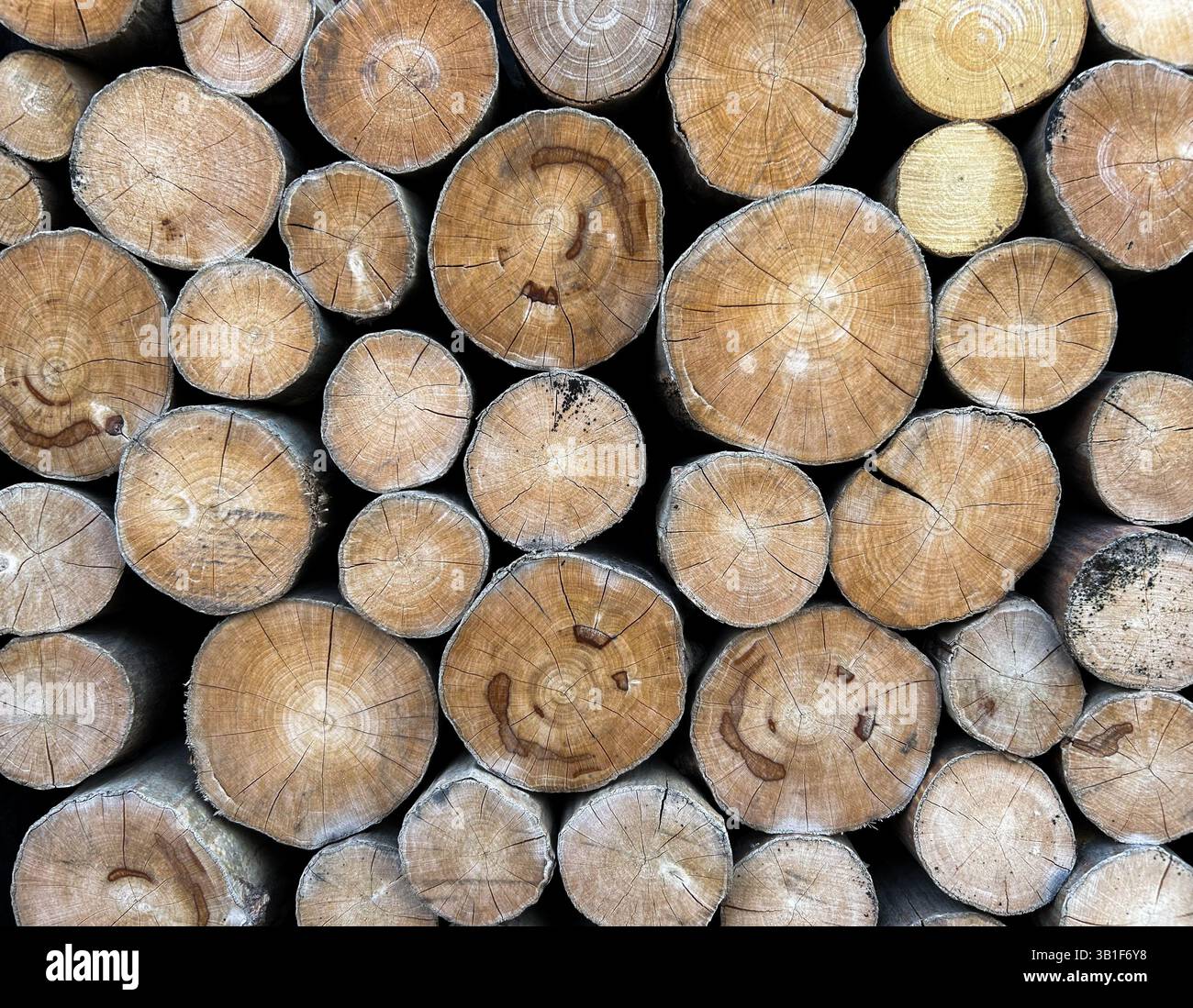 Seamless pattern of stacked cut wood logs, ideal for backgrounds and textures. - Smartphone Captured Stock Image