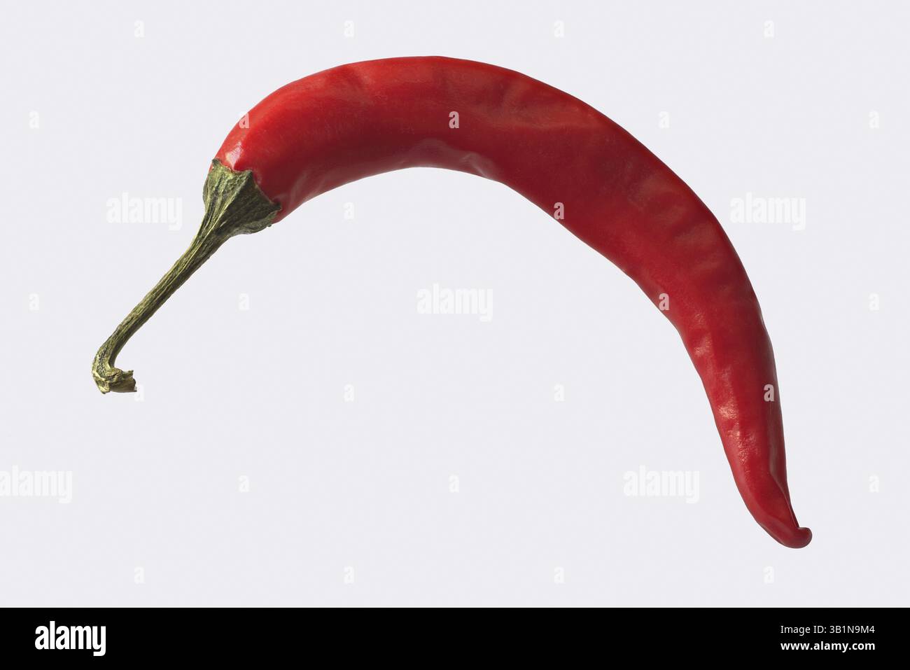 Chilli cut out hi-res stock photography and images - Alamy