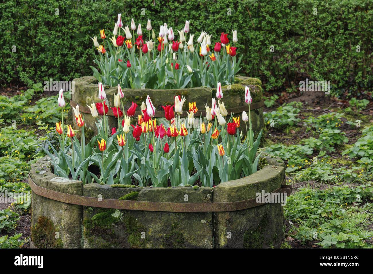 Two stone flower beds hi-res stock photography and images - Alamy