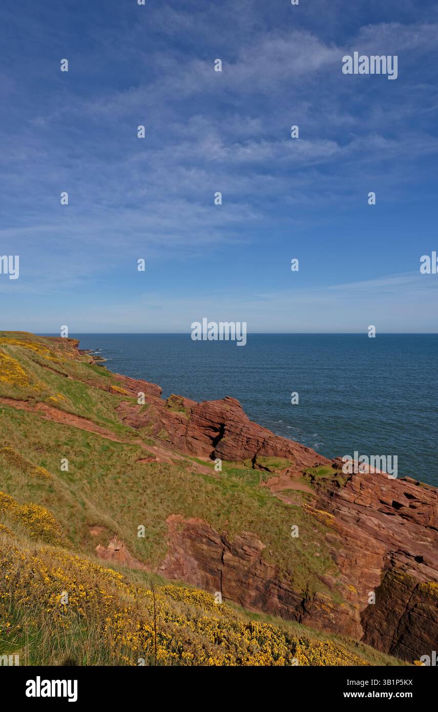 Airbroth Rocks Ulex europaeus lower devonian sandstone hi-res stock photography and ...
