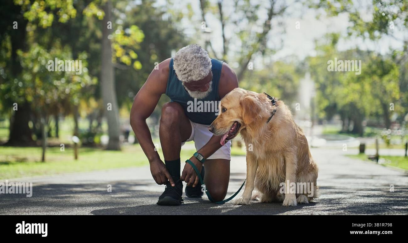 Dog walking, lace and tie with black man in park for cardio exercise, fitness or health hobby. Leash training, pet performance and start with animal Stock Photo