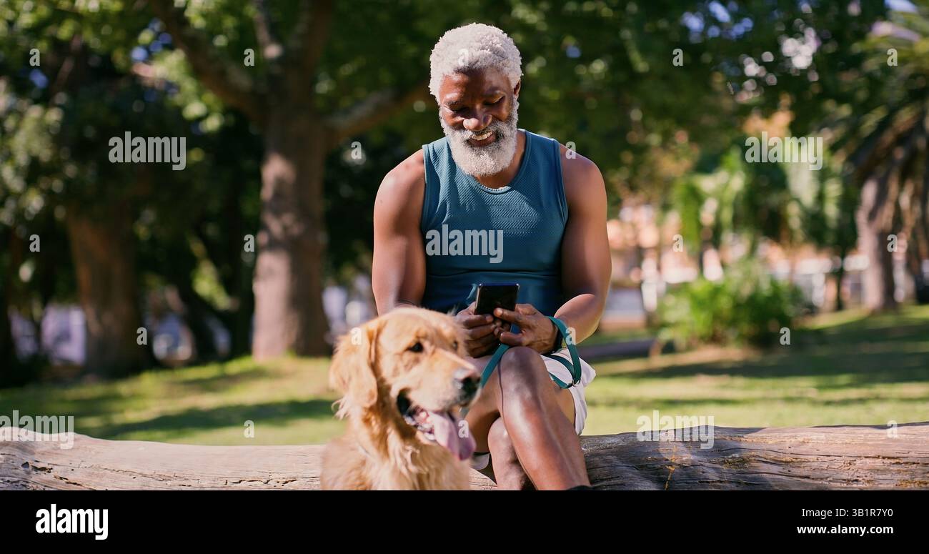 Break, dog walking and phone with black man in park for cardio exercise, fitness or health hobby. Obedience, pet performance and training with mature Stock Photo