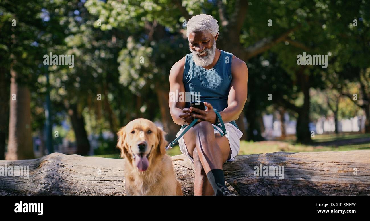 Dog walking, phone and smile with black man in park for cardio exercise, fitness or health hobby. Leash training, obedience and pet performance with Stock Photo
