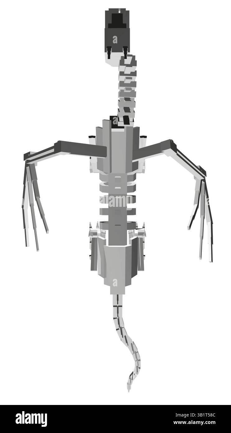A skeletonized dragon is drawn in black and white. The skeletonized ...