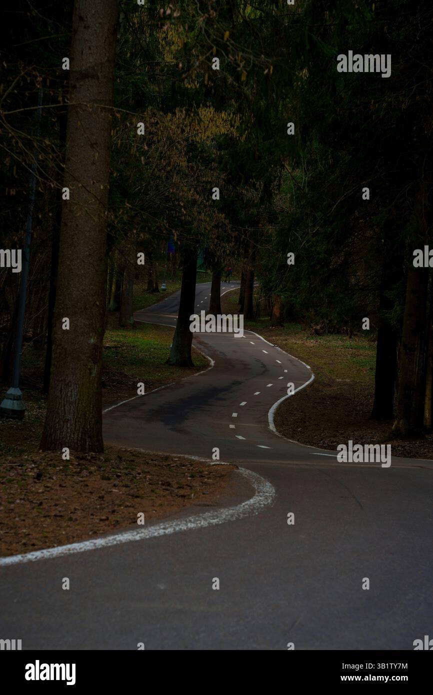 Winding road meanders through dense hi-res stock photography and images ...