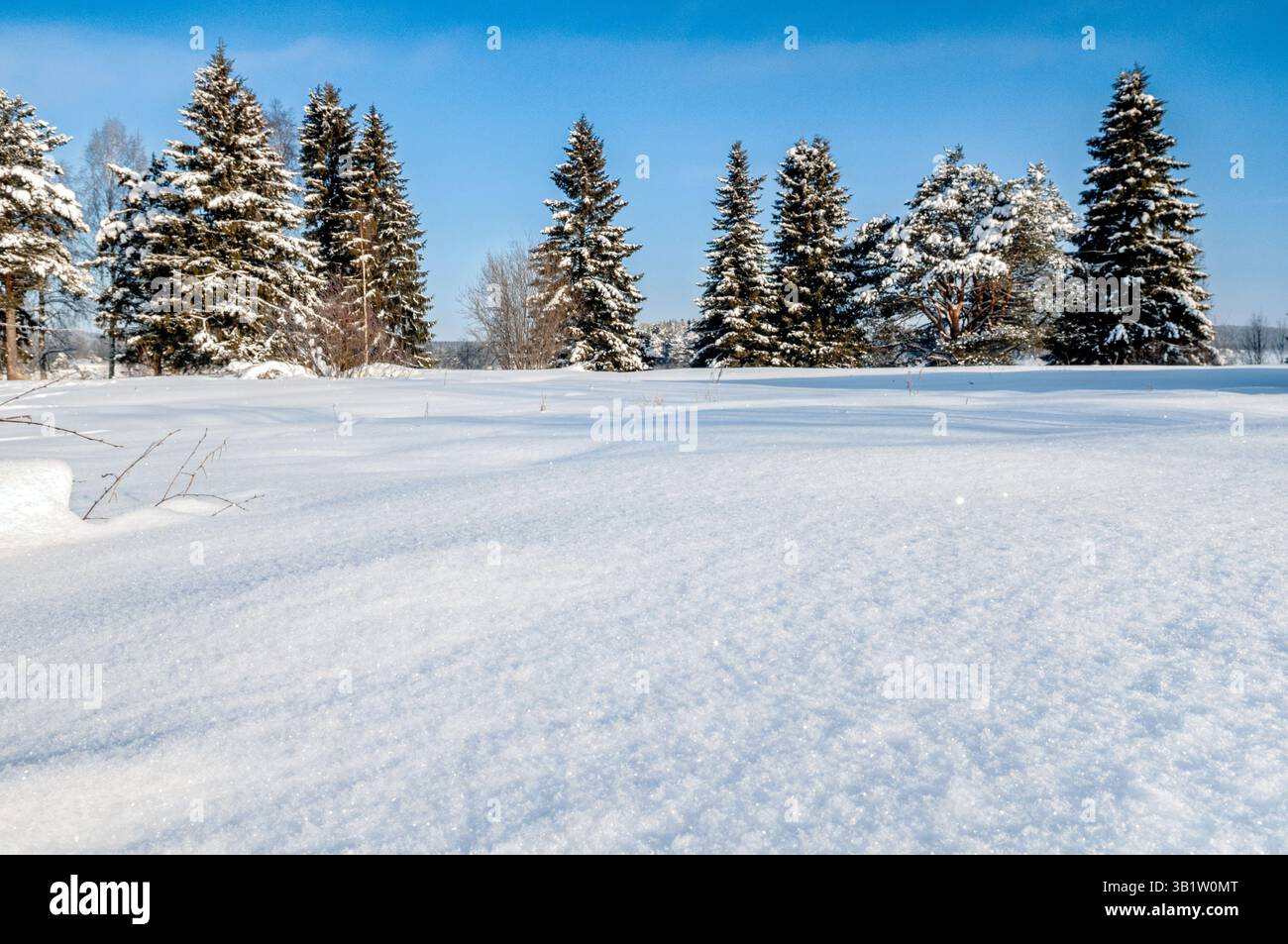 Trees and winter landscape in Lapland near Rovaniemi, Finland Stock Photo