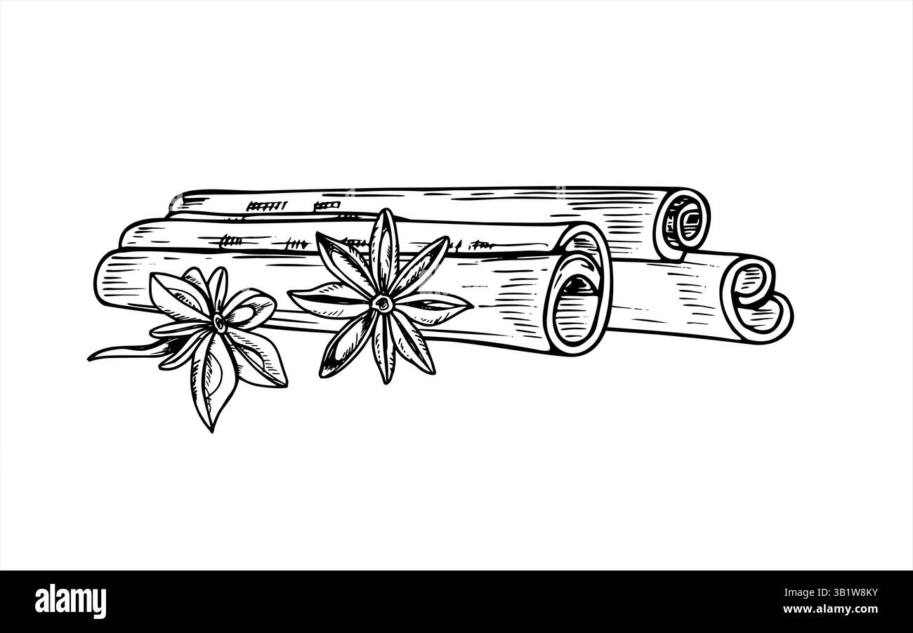 Monochrome cinnamon sticks and star anises vector outline illustration ...