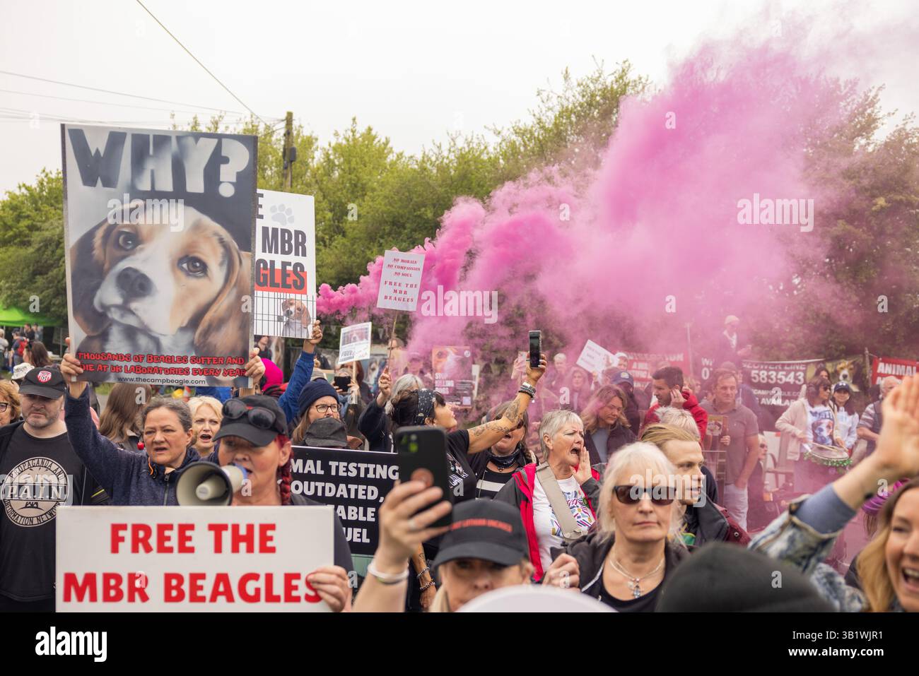 Protesting Dogs Huntingdon, UK. 26 APR, 2025. Gathered crowd during a protest at MBR ...