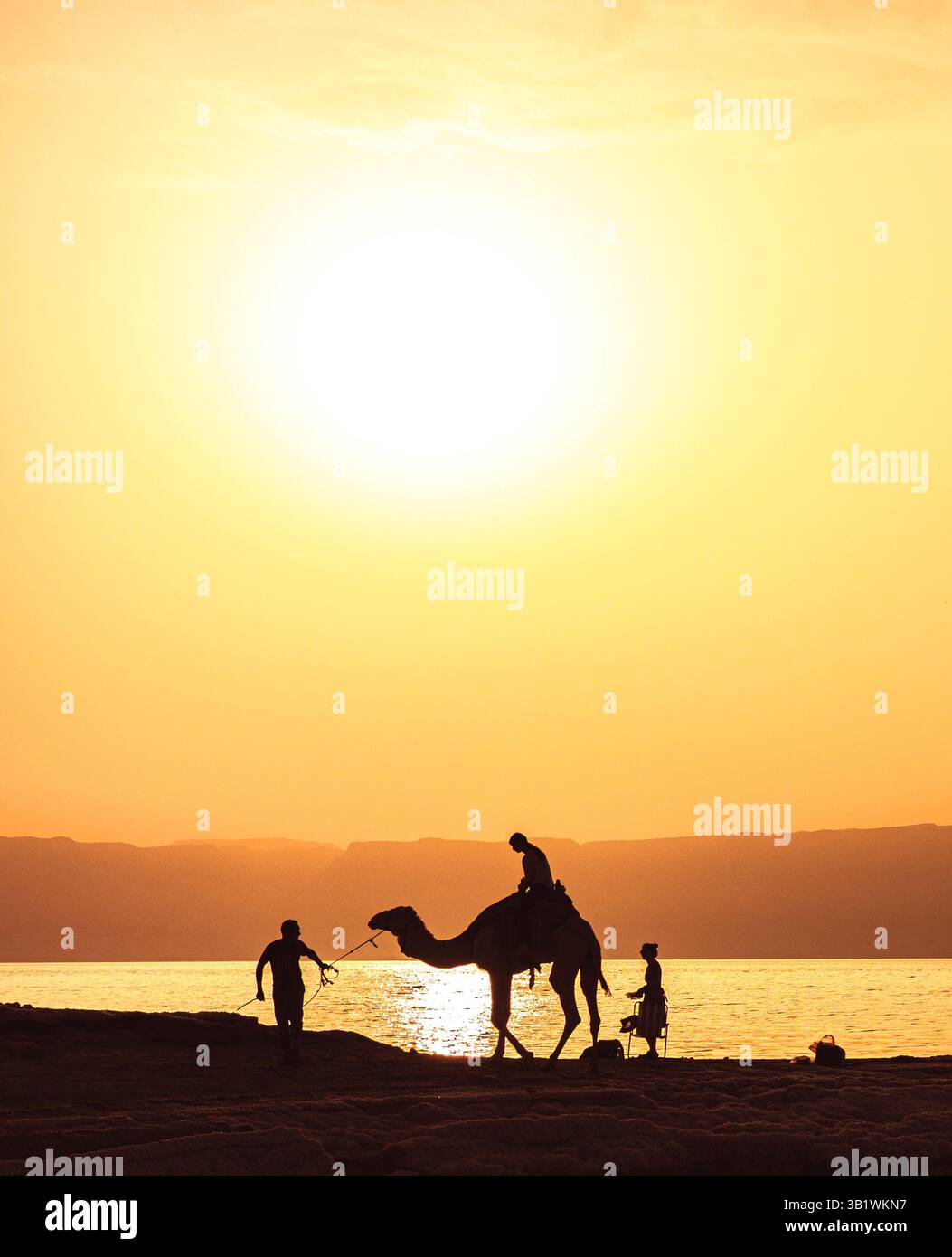 Golden sunset, silhouettes of camel in a peaceful moment by the water with mountains in the background and the bright sun at sunset golden hour Stock Photo