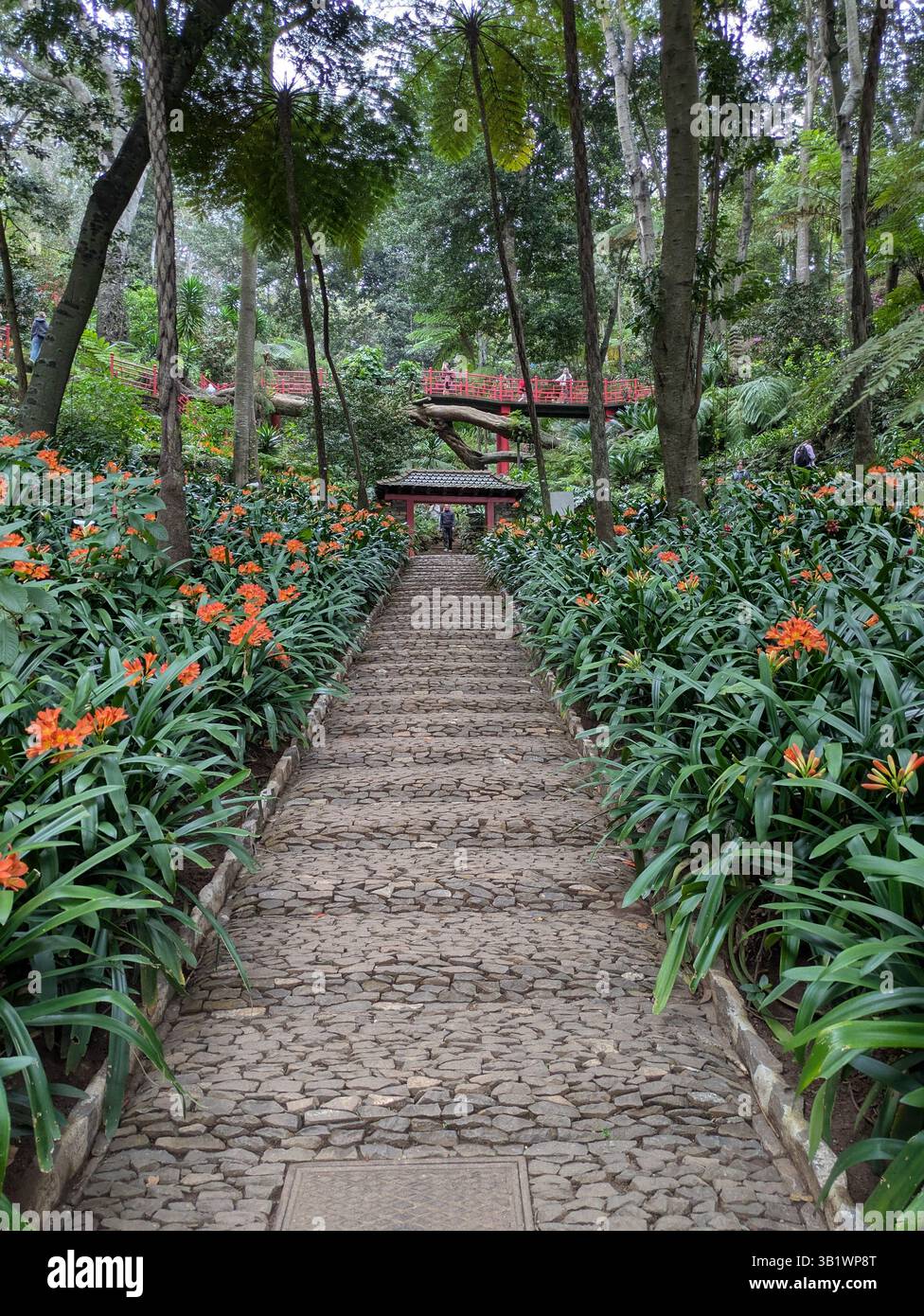 steps at Monte Palace Botanical Garden Funchal Madeira Stock Photo - Alamy