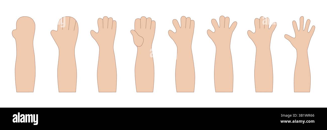 Cartoon Arm Evolution Set Stock Vector
