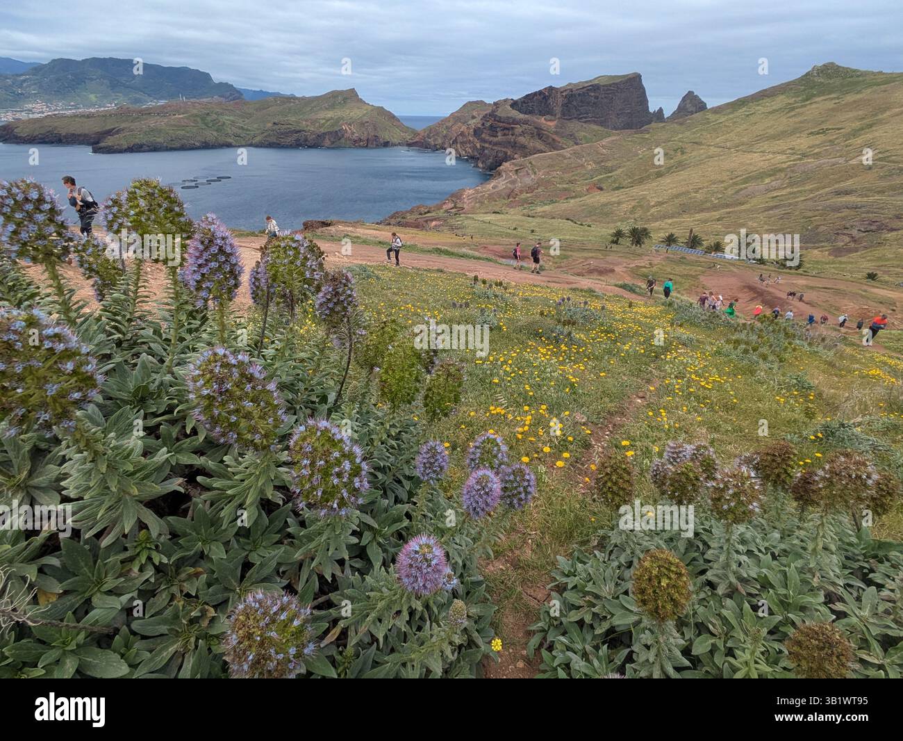 Madeira Pr8 Ruta Hiking route PR8 near Caniçal Eastern Madeira Stock Photo - Alamy