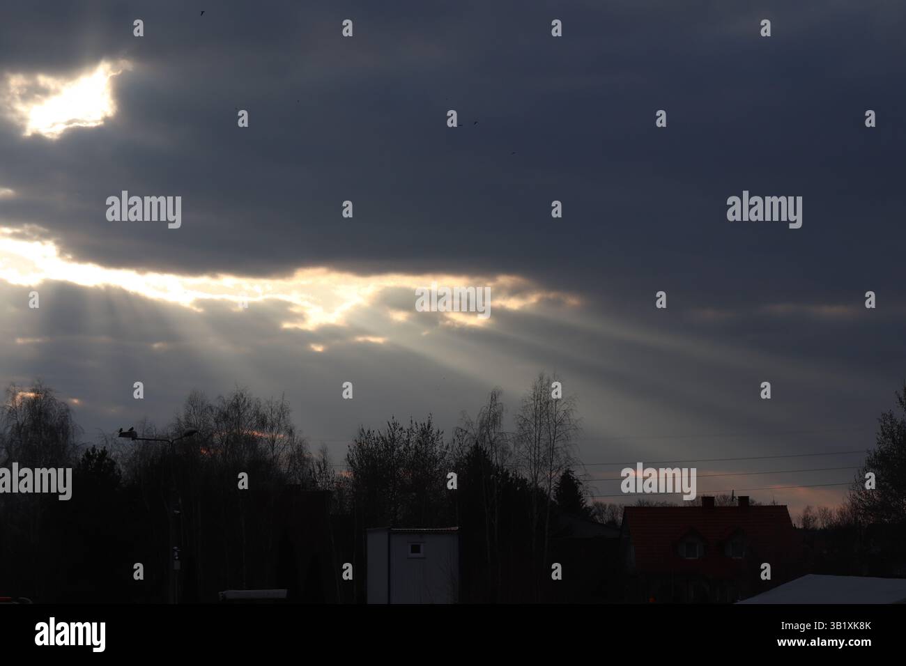 Crepuscular rays coming from a gap in the clouds with birds flying before them Stock Photo