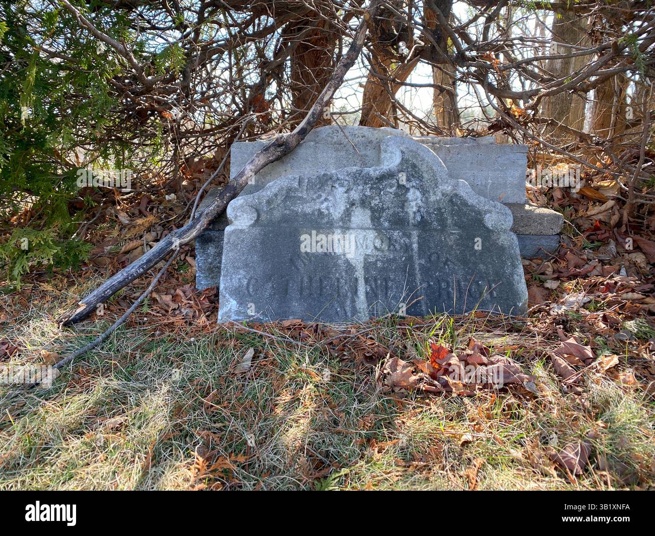 Old forgotten grave - Smartphone Captured Stock Image