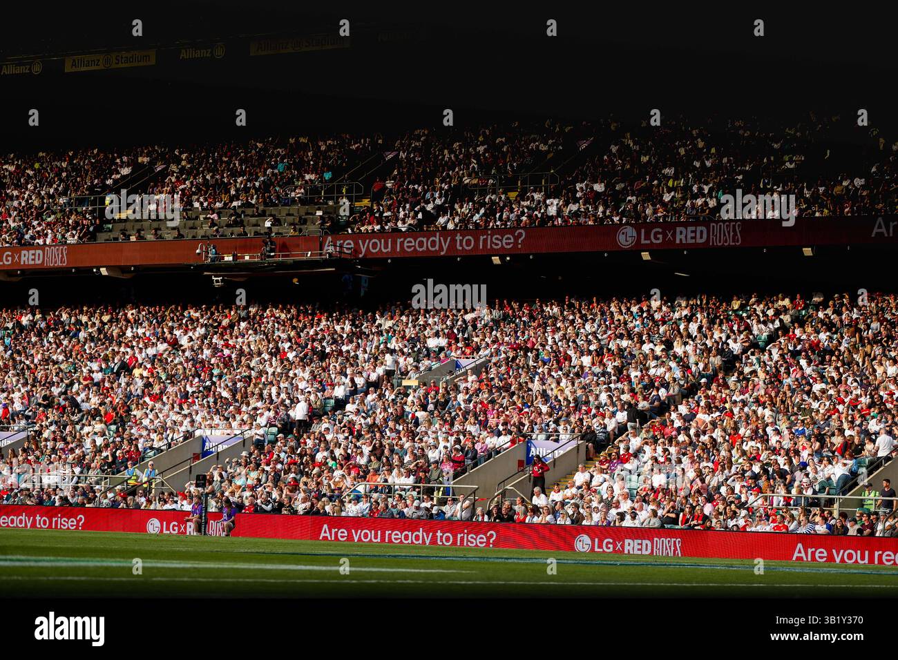 Red roses rugby crowd allianz stadium hi-res stock photography and ...