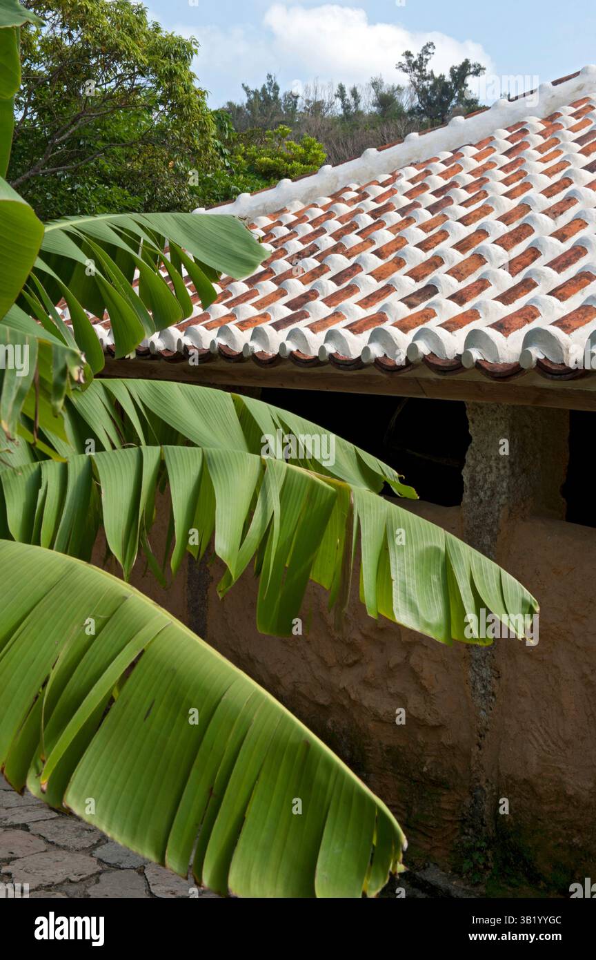 Traditional Okinawan historical residence with ceramic roof tiles and broad overhangs at the Ryukyu open air museum in Okinawa, Japan. Stock Photo