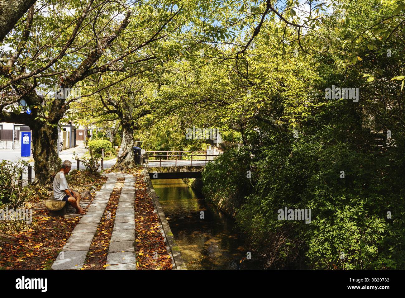 September Path KYOTO, JAPAN - SEPTEMBER 23, 2024: Scenic landscape in autumn along the ...