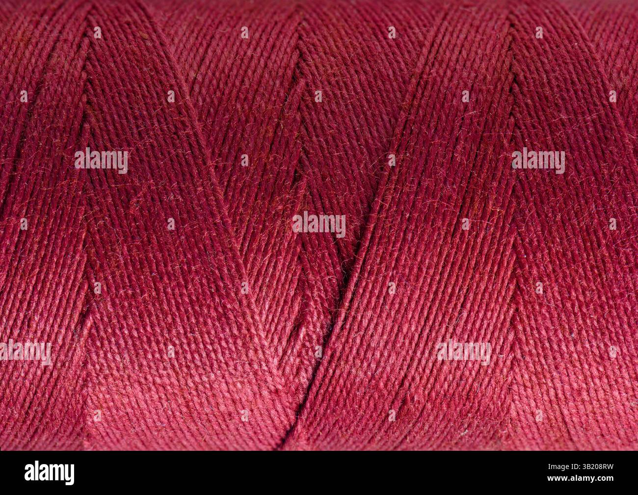 Macro close-up of fine dark pink cotton wound round spool background ...