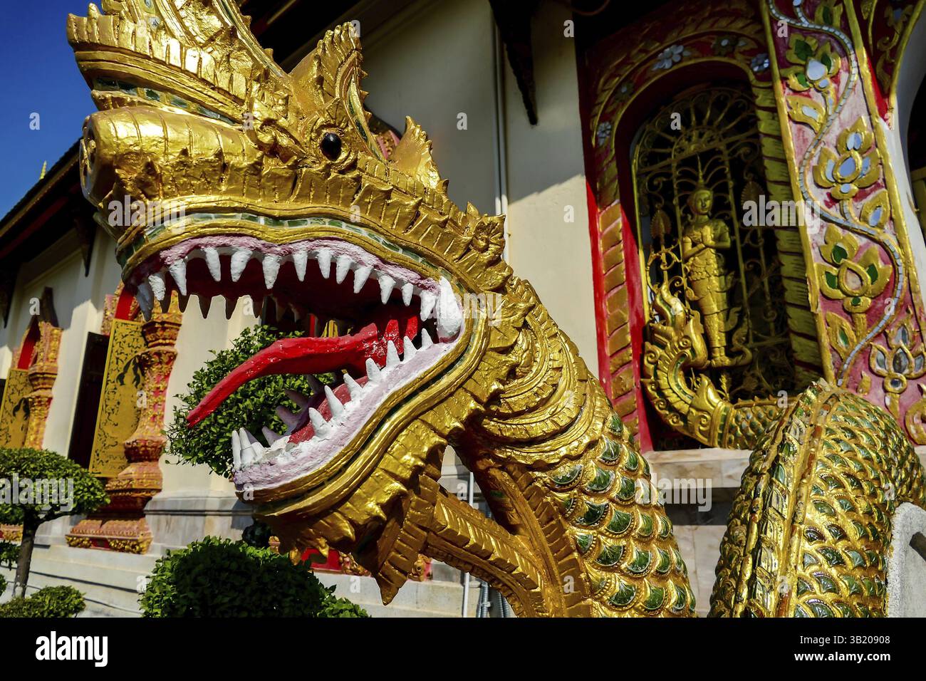 Central dragon motif hi-res stock photography and images - Alamy