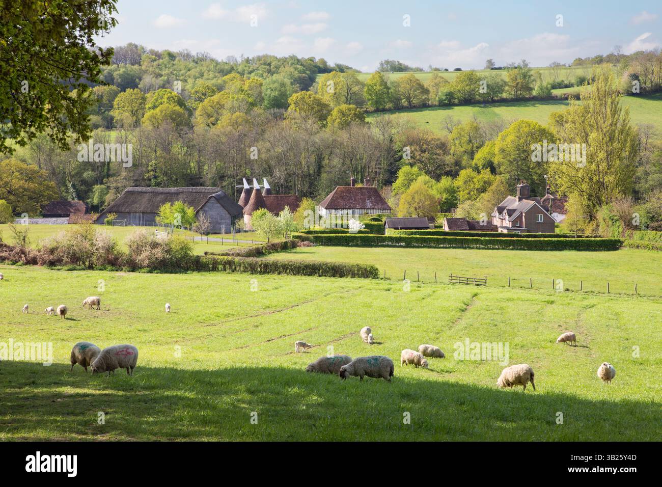 Old oast house and High Weald landscape, Ticehurst, East Sussex, England, United Kingdom, Europe Stock Photo