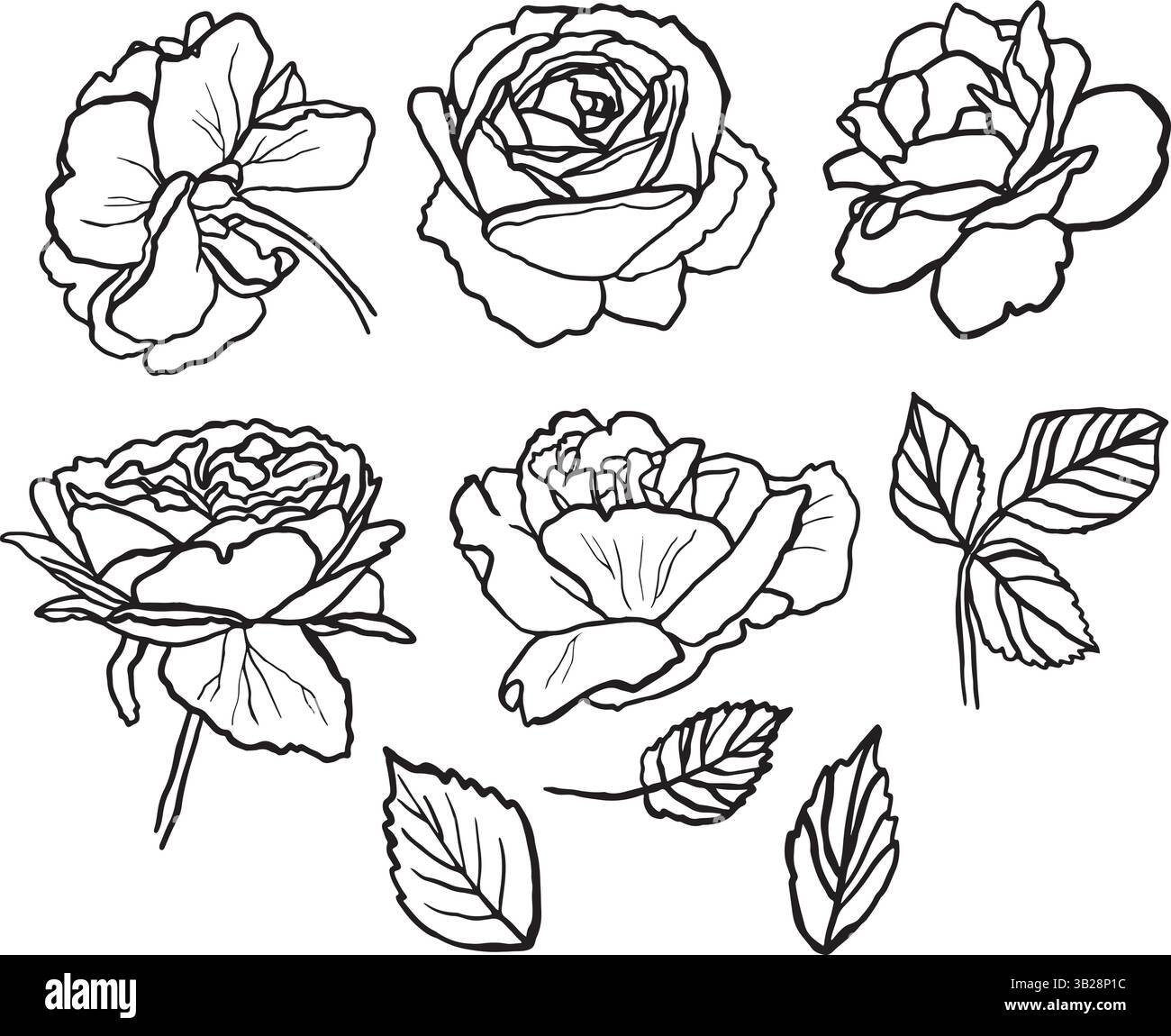Vector hand-drawn outline set of roses Stock Vector Image & Art - Alamy