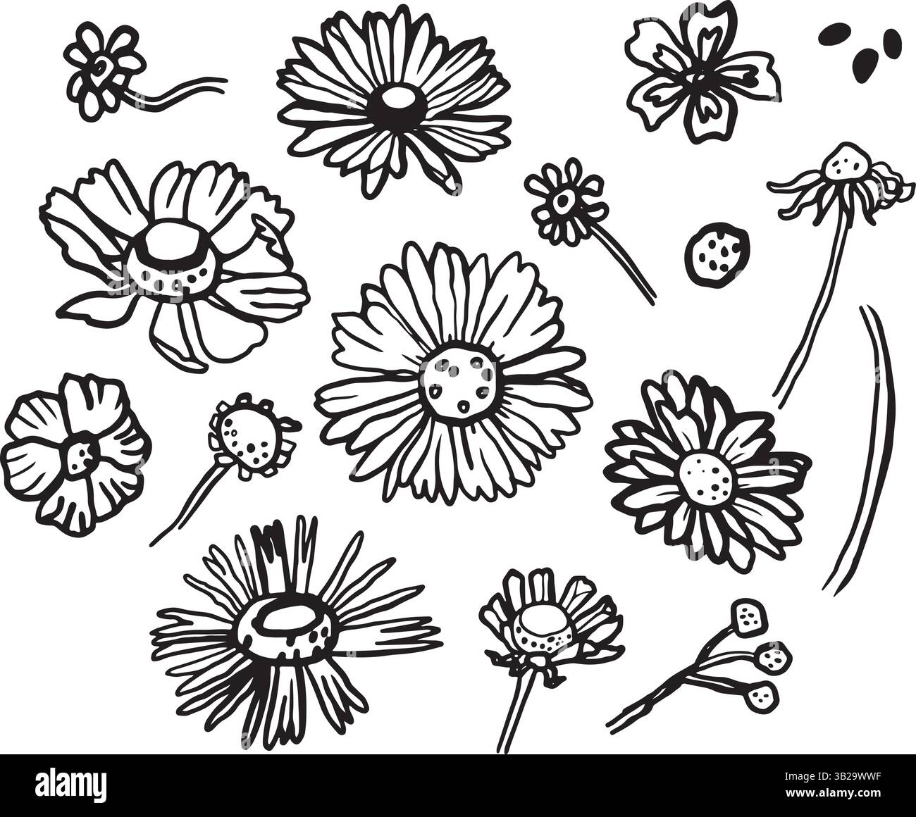 Vector hand drawn outline set of flower icons Stock Vector