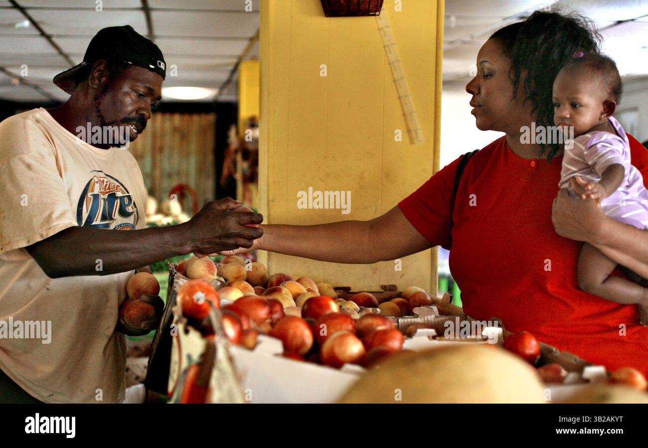 CHERIE DIEZ   |   Times.sp 310693 DIEZ PRODUCE 1 of 2 (8/18/09 CLEARWATER) Janet Riddle hands her husband of twenty-nine years, Howard, a peach after picking one at Jam's Farm Fresh Produce Market at 1451 Clearwater Largo Road, Clearwater while shopping with their granddaughter, Jada Robinson, 6 months. They all live in Holiday, FL in Pasco County. Janet does the cooking and usually does the shopping alone but said she likes it when her husband comes along. ''When I can get him to,'' she said.  [CHERIE DIEZ, Times] (Credit Image: © St. Petersburg Times/ZUMA Press) Stock Photo