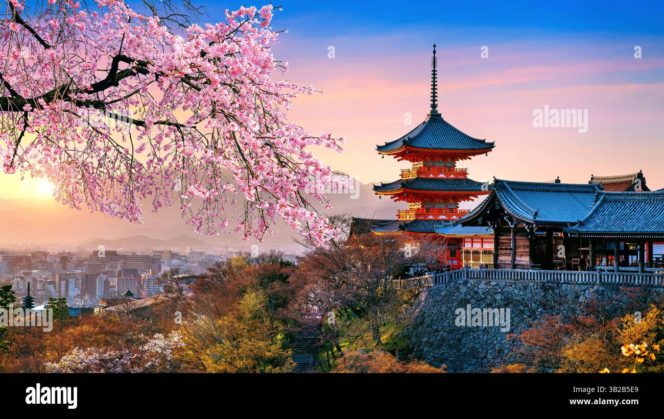 Japanese cherry blossoms sunset hi-res stock photography and images - Alamy