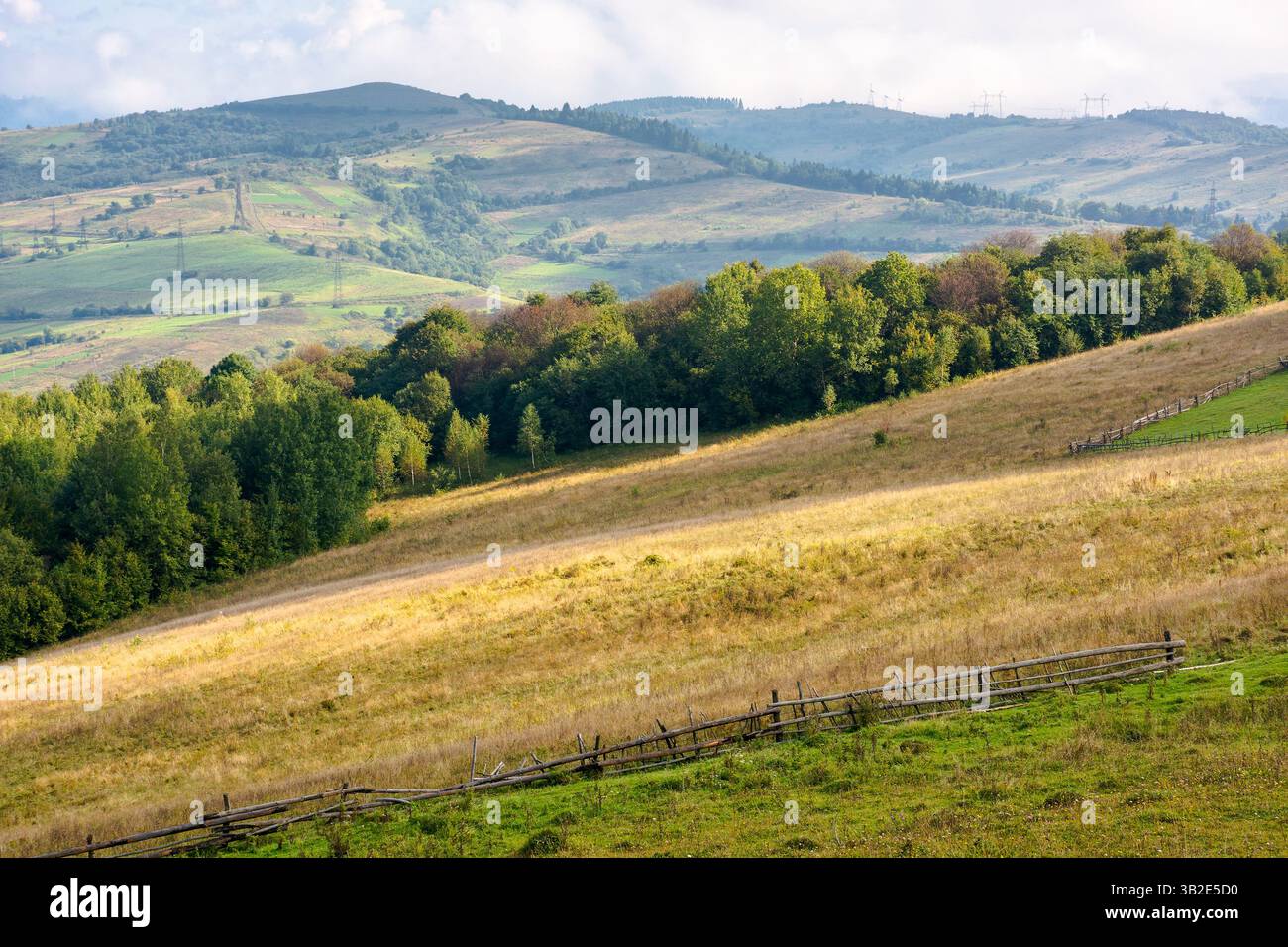 scenery with rural field on grassy hill of mountains. dappled light. beautiful countryside landscape in ukrainian carpathians on a sunny day. scenic v Stock Photo