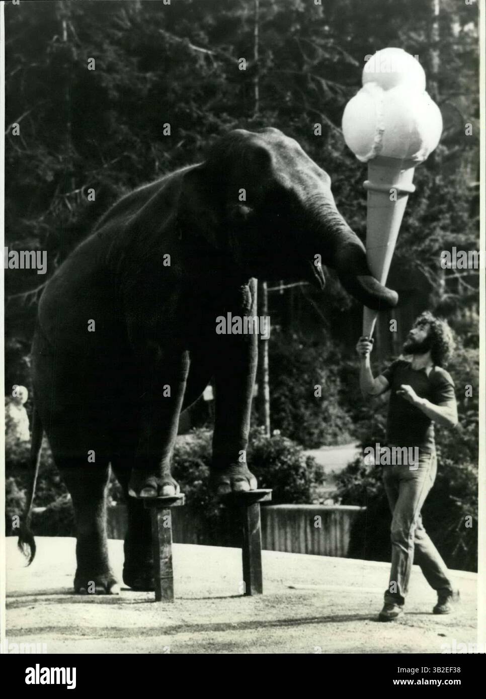 19672 -  ArtistsÃ are the elephants of the zoo of Krefeld/West Germany. The 8 years old female elephant Rhena is presenting some  stunts  to the visitors of the zoo, and of course gets a lot of applause for it. And is this the reward for the  performances  when  Rhena catches the giant ice cr grave;me handed by the keeper (and trainer) Wolfgang Nahrung? No, it is also a  “trick  (Credit Image: © Keystone Pictures USA/ZUMAPRESS.com) Stock Photo