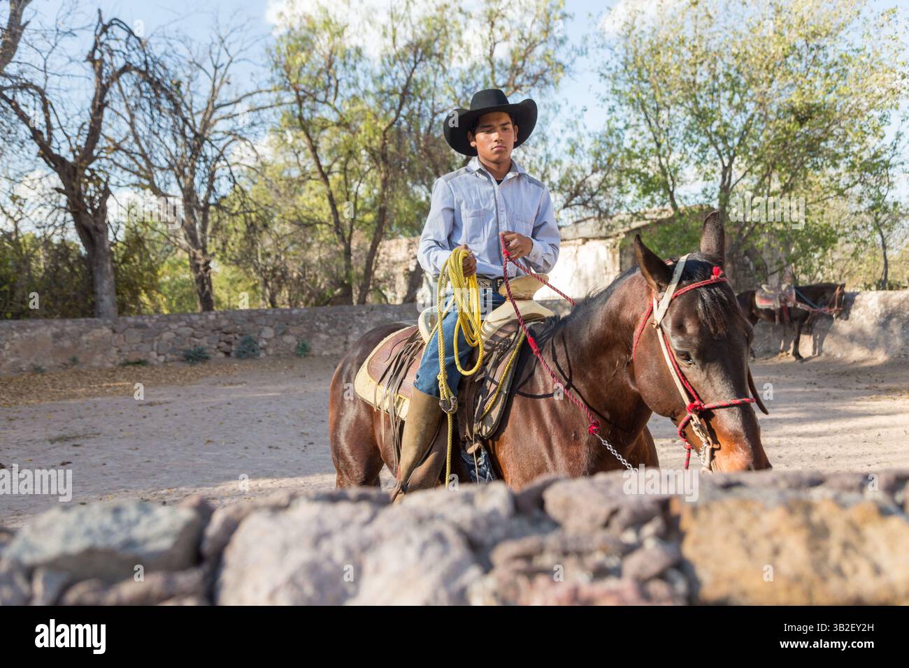 Charro caballo de rodeo hi-res stock photography and images - Alamy