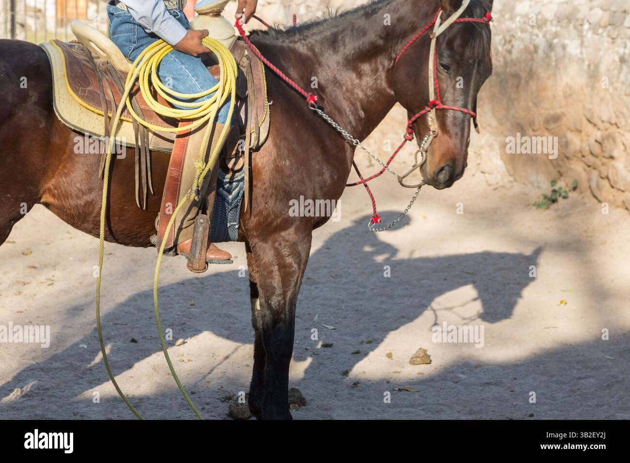 Charro Rodeo Ropes Charro caballo de rodeo hi-res stock photography and images - Alamy