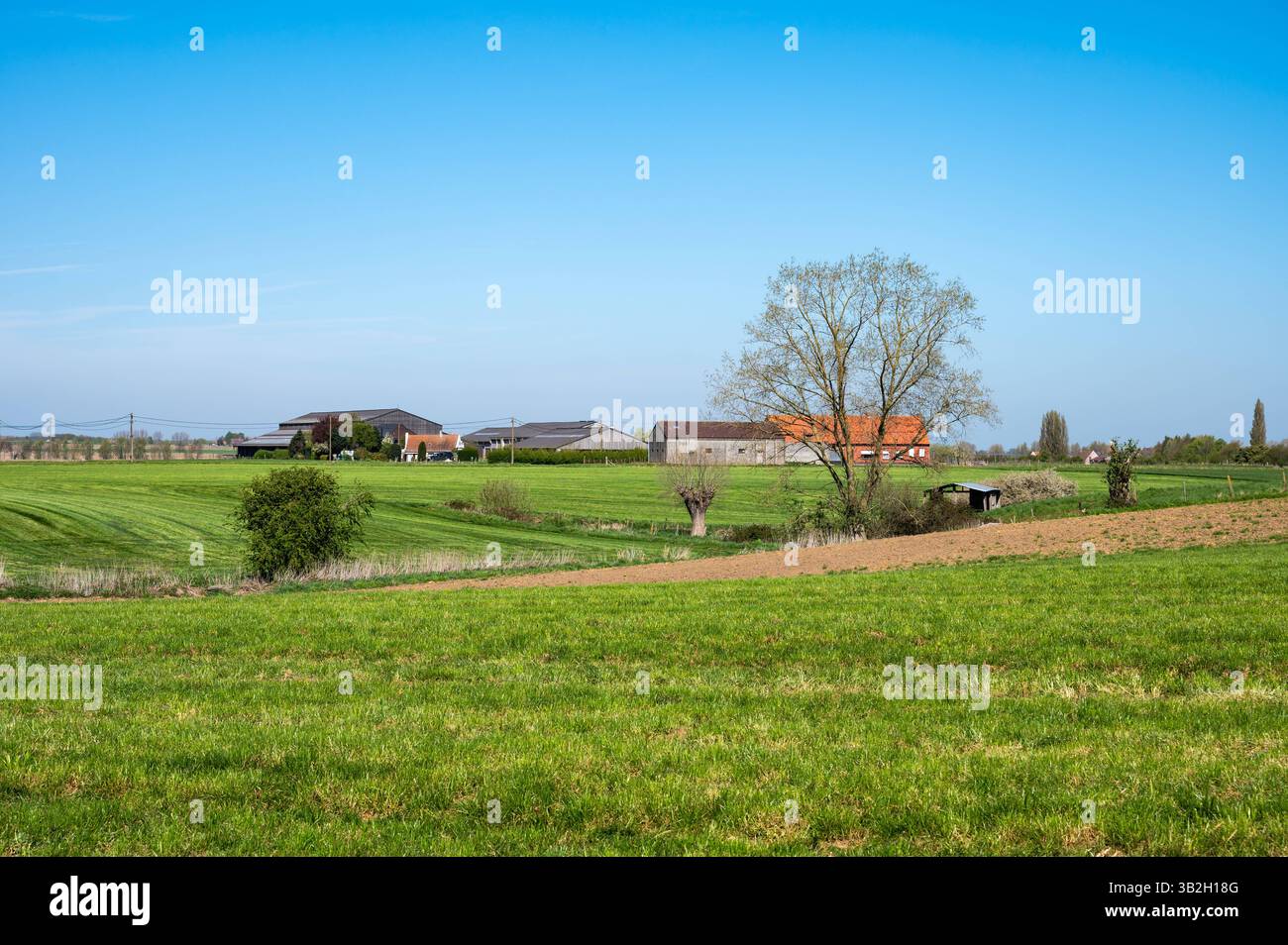Senic view over farmland at the Flemish countryside in Poperinge, West ...