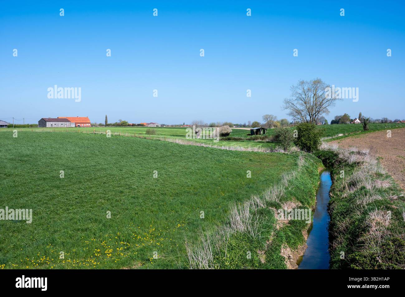 Senic view over farmland at the Flemish countryside in Poperinge, West ...